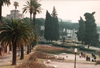 Parco di Traiano