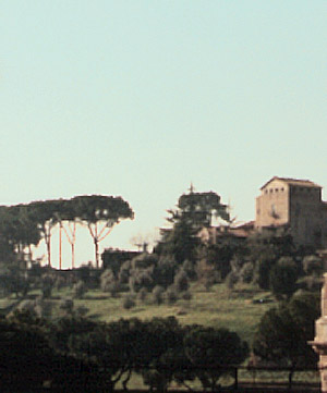 Foto af Palatin set ovre fra Colosseo